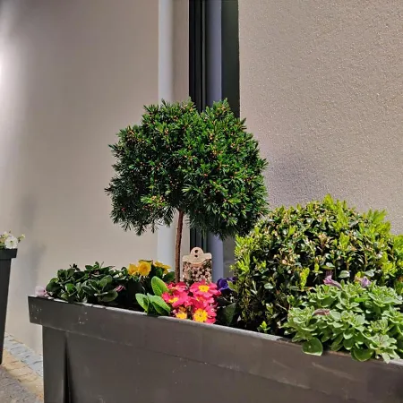 Lamegos Ii - Geres *