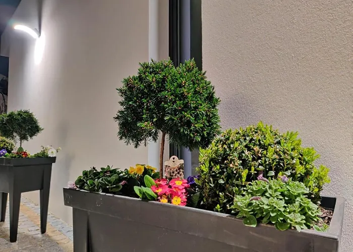 Lamegos Ii - Geres *